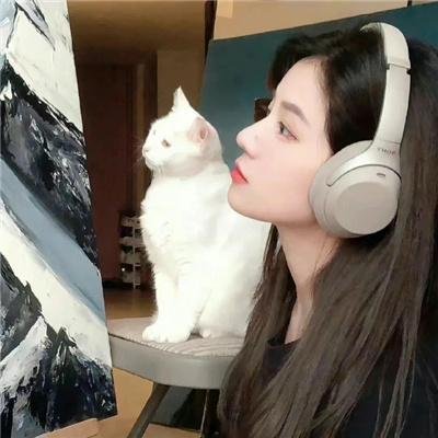 生活与贝斯